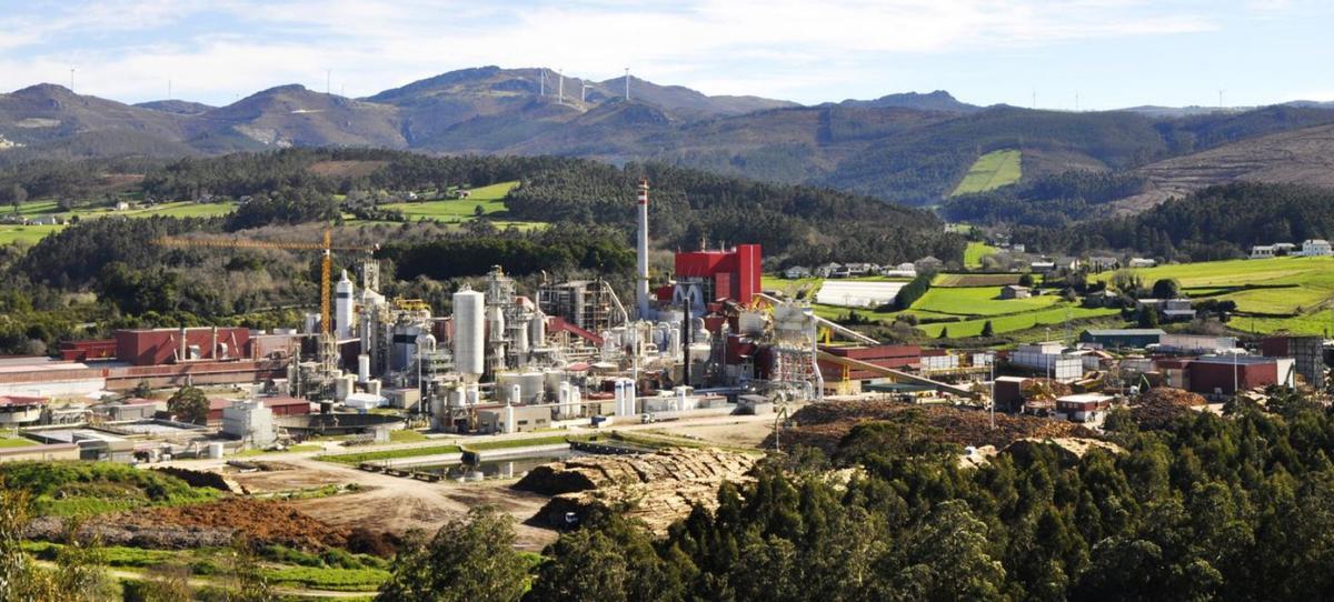 Ence despedirá a 44 personas de la biofábrica de Navia en Asturias